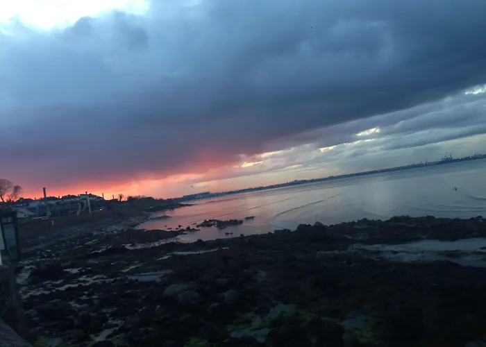 Acara House 더블린