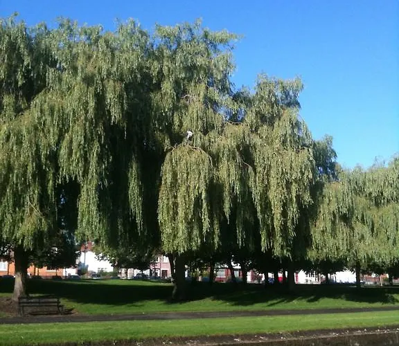 アカラハウスb&b 3*