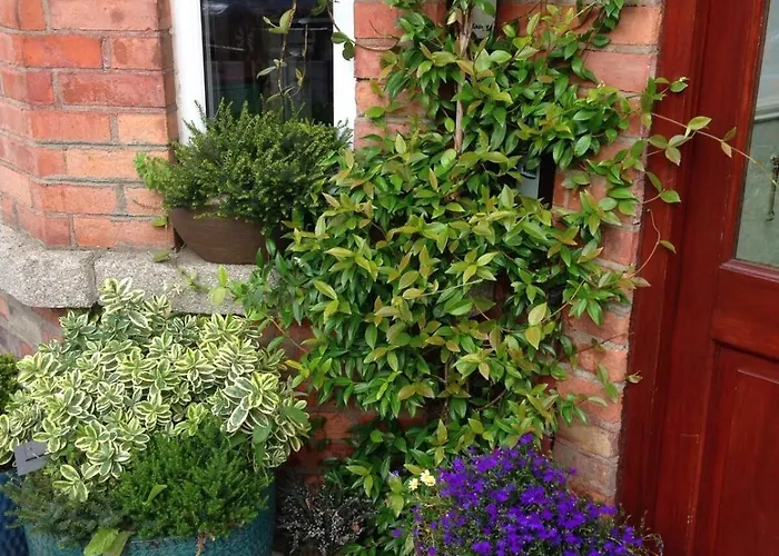 アカラハウスb&b 3*